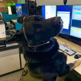 Profile picture of Javier P.